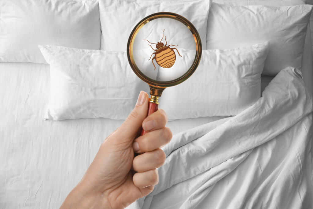bed bug treatment atlanta