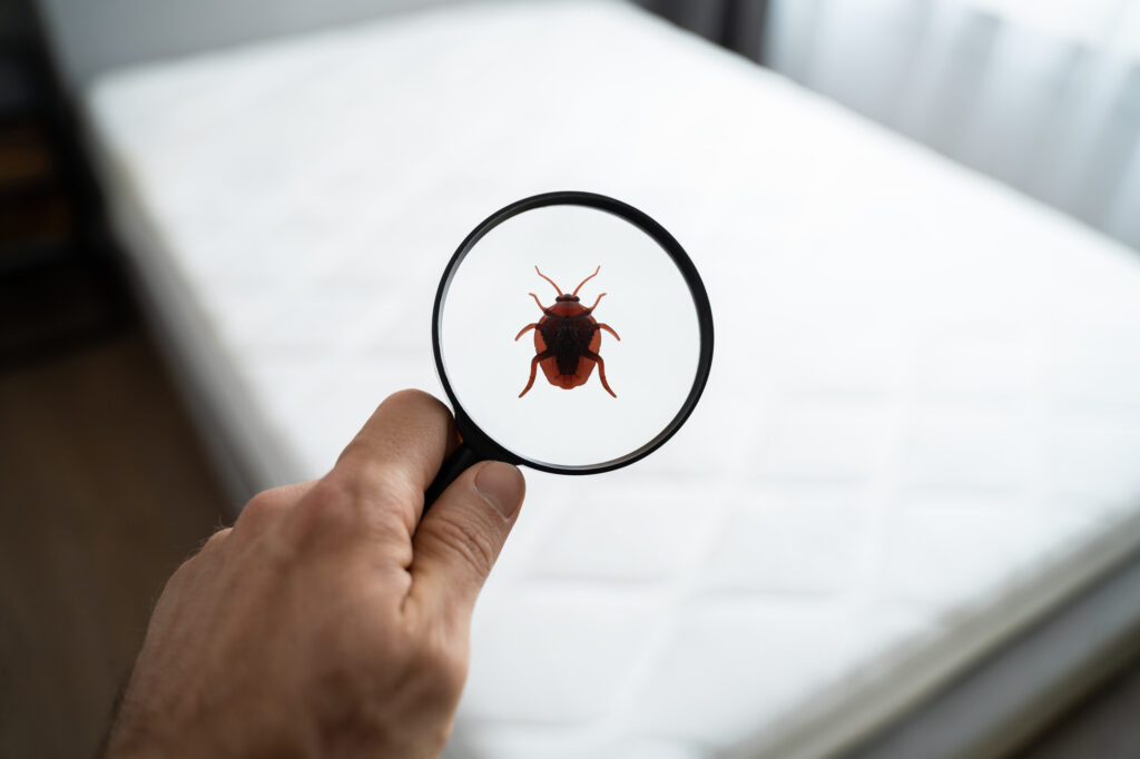 bed bug exterminator atlanta ga