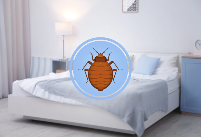 Bed Bugs Do’s & Don’ts