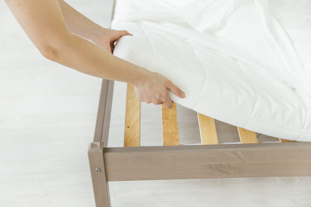 check for bed bugs in mattress atlanta 