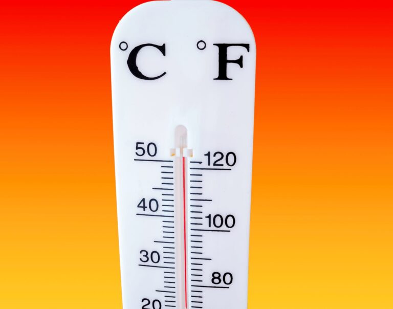 bed bug killer weather condition atlanta