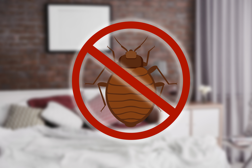 atlanta bed bug treatment to kill bed bugs