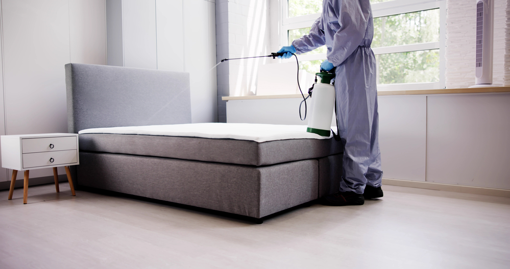 Pest Control Service. Bug Bed Treatment By Exterminator in Atlanta