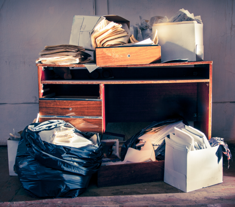 The Link Between Clutter and Bed Bug Infestations: Decluttering Tips