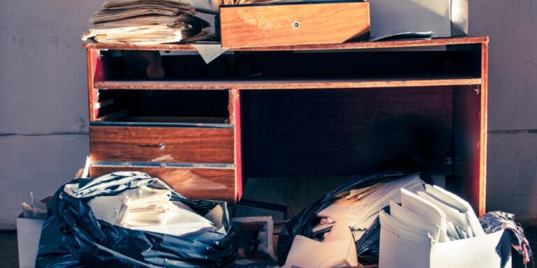 1_Atlanta-Bed-Bug-Experts_The-Link-Between-Clutter-and-Bed-Bug-Infestations-Decluttering-Tips_IMAGE-07