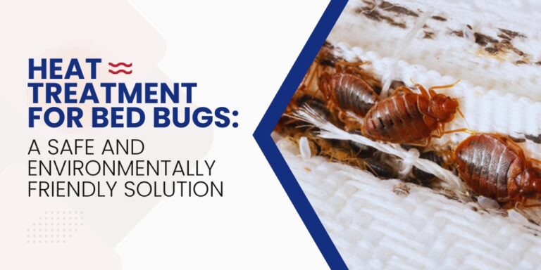 Heat Treatment for Bed Bugs: A Safe and Environmentally Friendly Solution