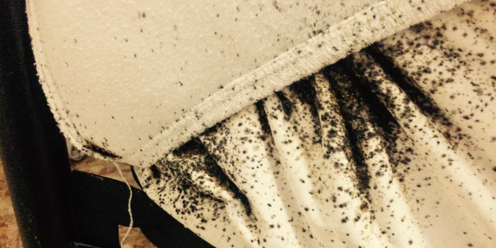 When to Choose Heat Over Sprays